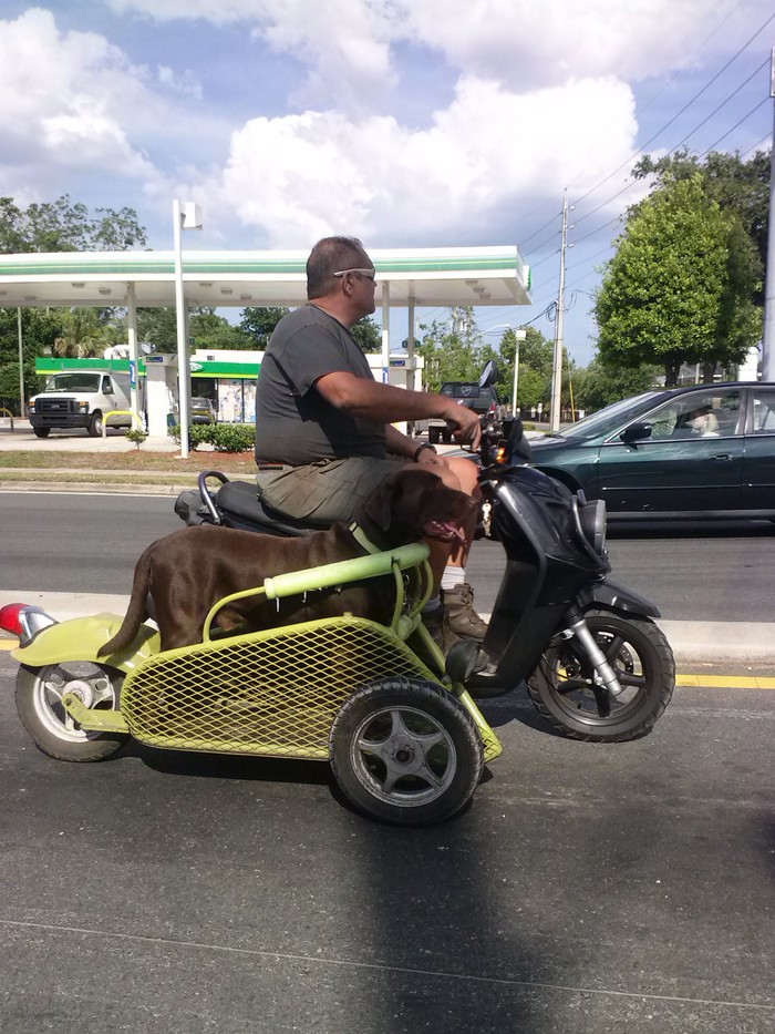 Kad ideš u đir motorom, povedi i najboljeg prijatelja!