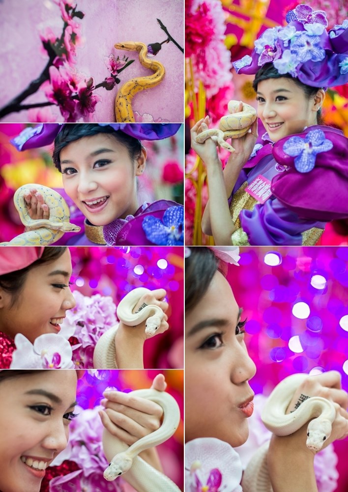 Slatke Kineskinje jako vole zmije