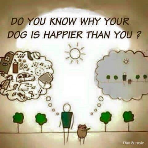 Razlog zbog kojeg su ljudi nesretni