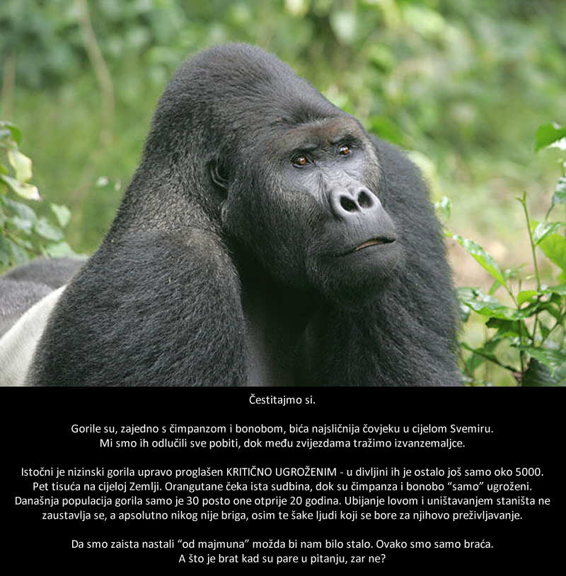 Izumire biće najsličnije čovjeku u cijelom Svemiru