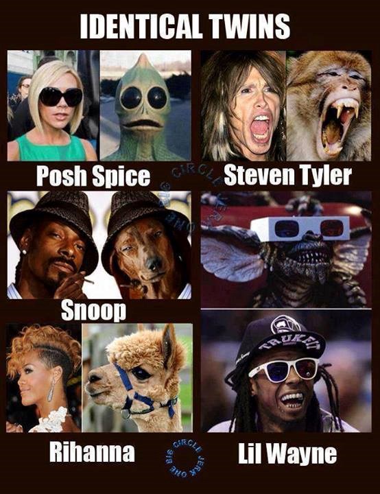 Svaka sličnost sa stvarnim osobama je namjerna