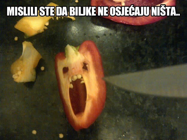 Vegani, ipak ste u krivu