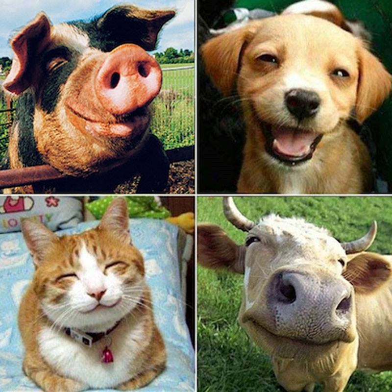 Osmijeh je univerzalna čarolija