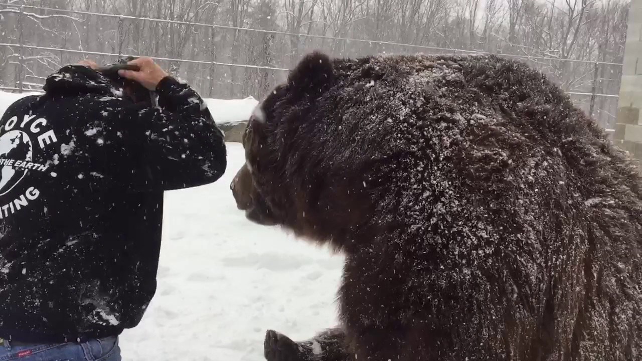 VIDEO Moraš biti jako hrabar ako odlučiš imati ovakvog prijatelja!