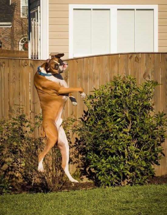 Sumnjiv si, jel to neki kung fu?