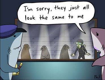 Nisu morski psi krivi: Ljudi zabunom završe kao ručak