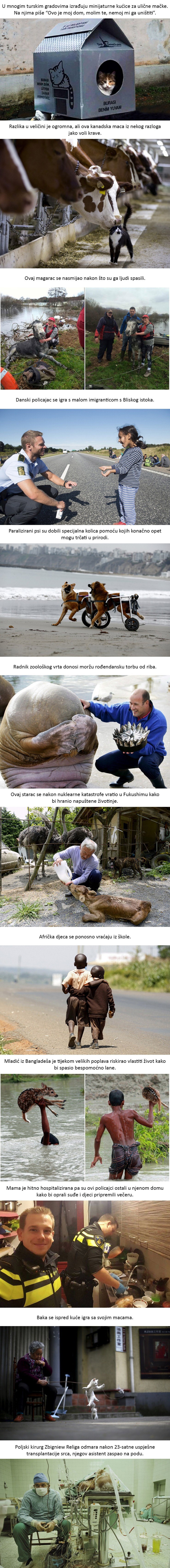 Dvanaest dirljivih fotografija koje će vam zasigurno uljepšati ovaj dan