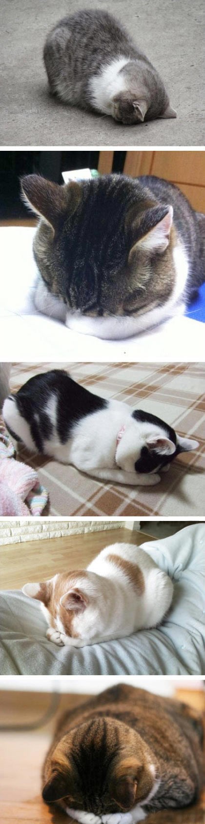 Kad ti kažu da radiš na 1. maj