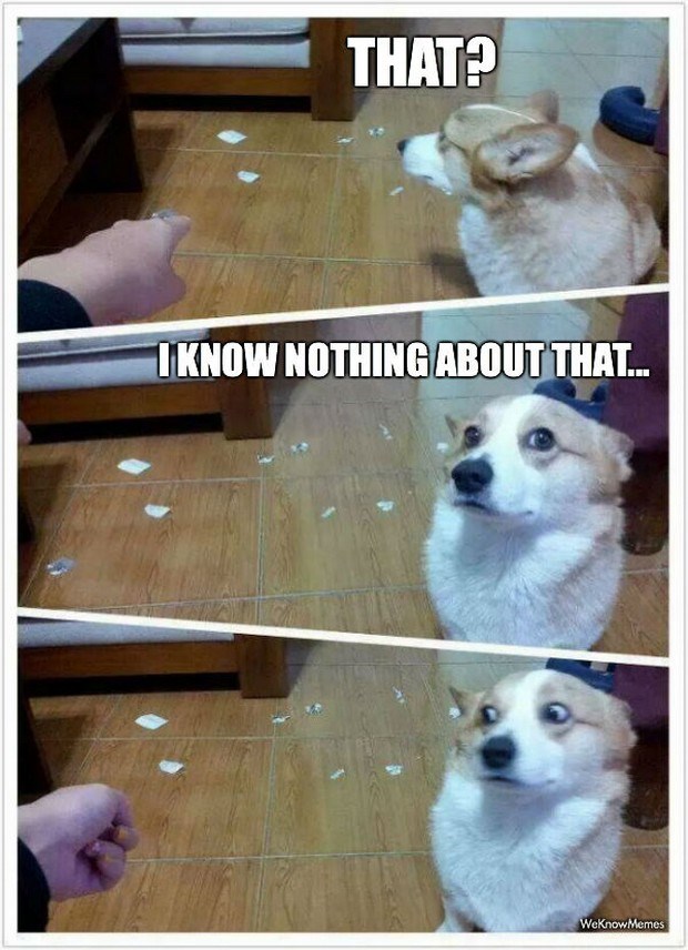 GALERIJA: Beštije su u svojoj glavi uvijek nevinašca 