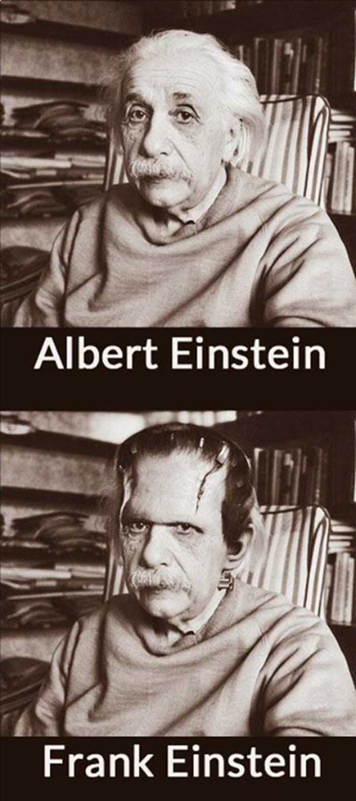 Svi znaju za Alberta, ali znate li tko je Frank Einstein