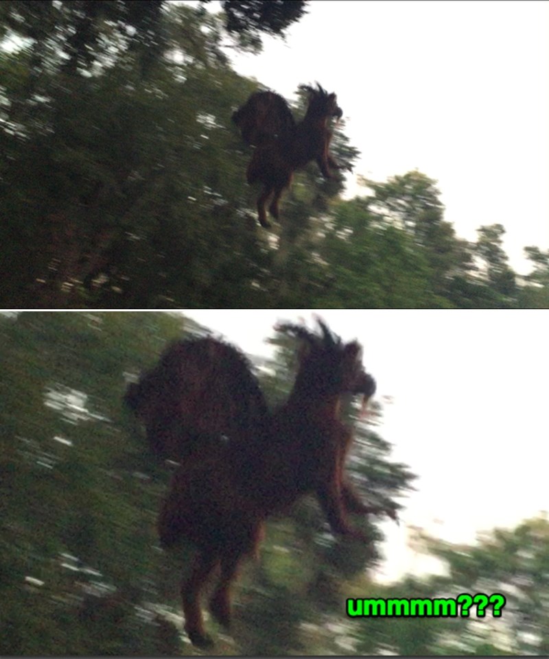 Koji je ovo vrag, možete li vi skužiti?