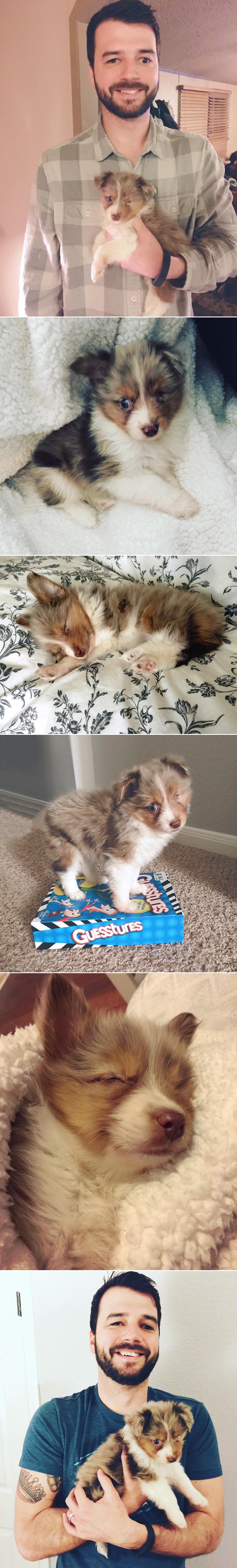 Mladić bez oka udomio neželjenog psića, a razlog će vas raznježiti do suza