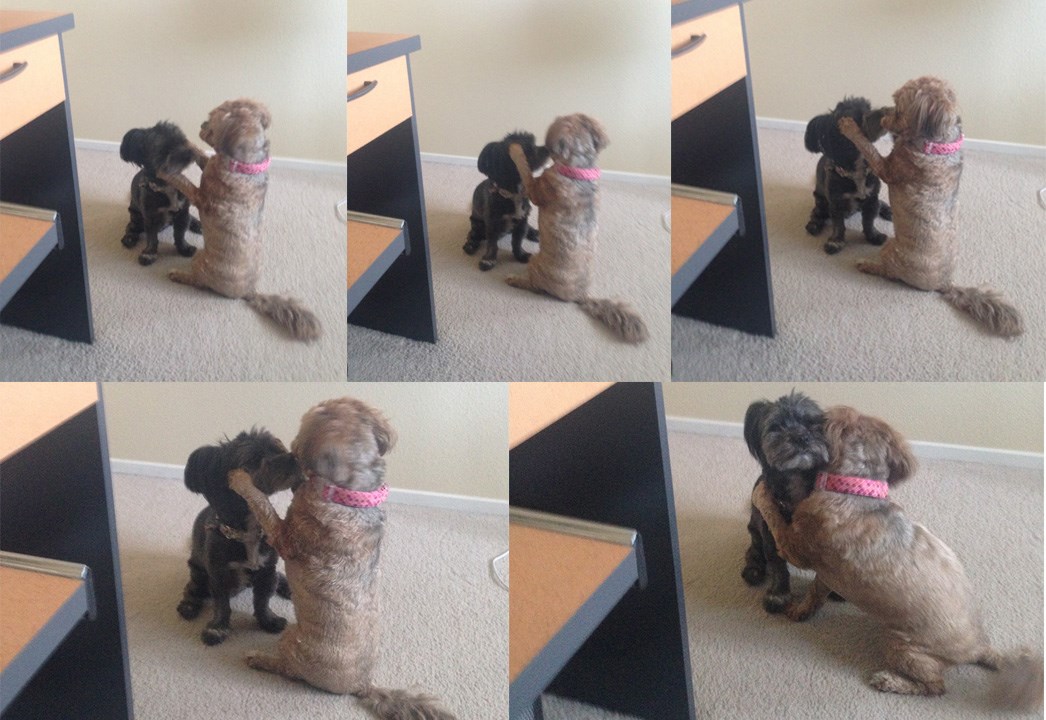 Čekaj, malo ti popravim friz, sad možeš ići, volim te!