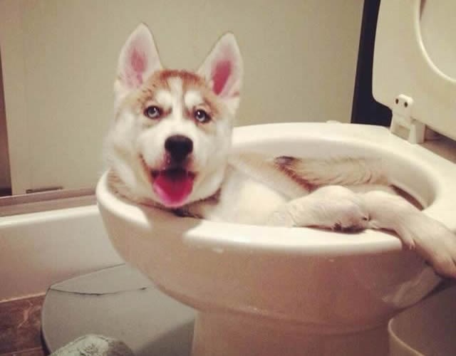 Ljetno hlađenje ne bira mjesto