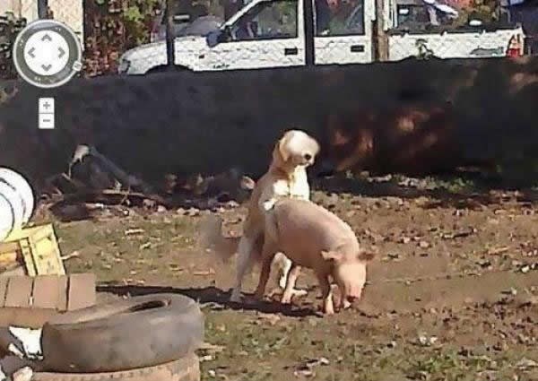 Google je smrtno ozbiljan oko privatnosti