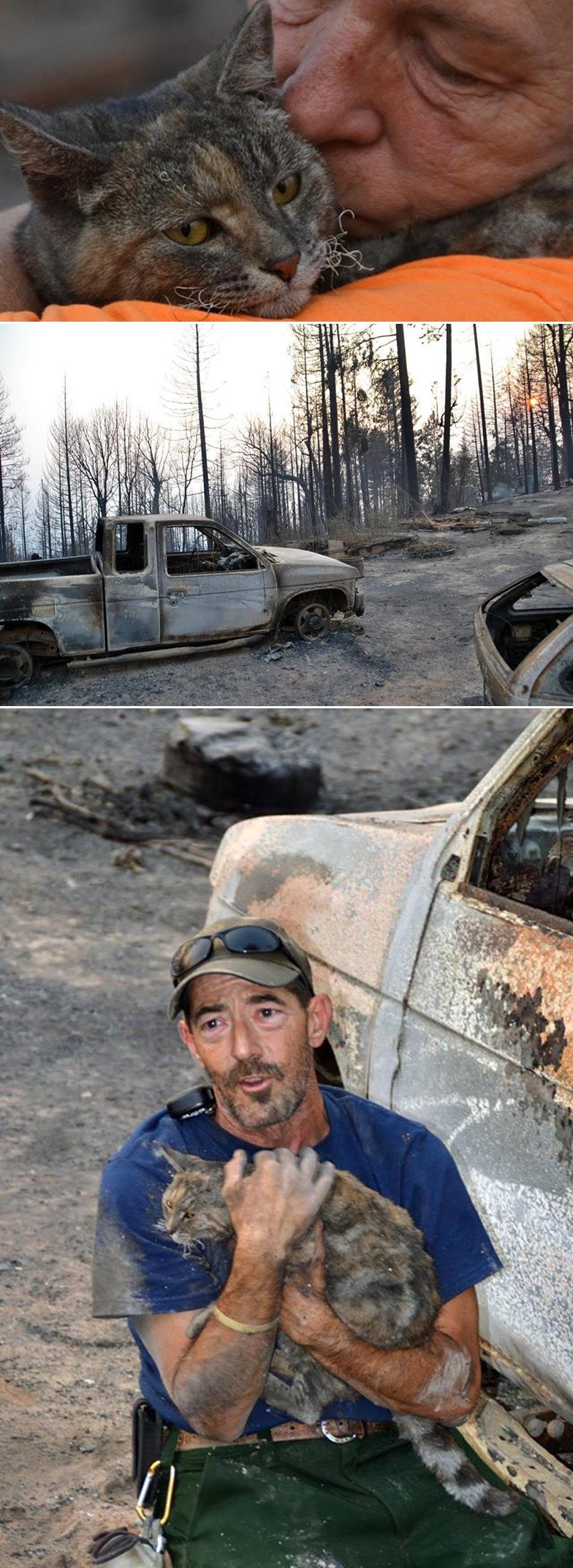 GALERIJA: Supermaca preživjela gigantski kalifornijski požar, vratila se vlasnicima!