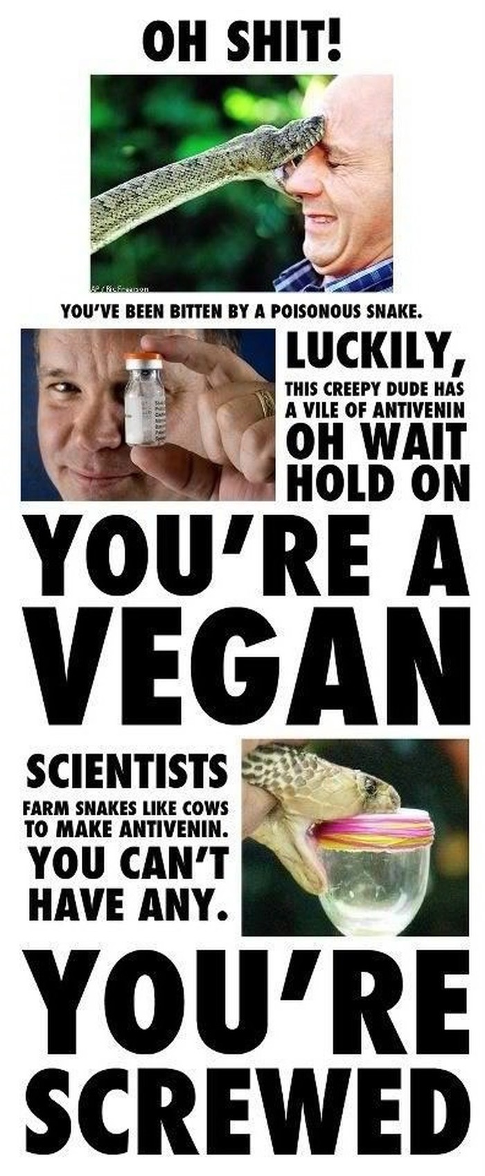Ako si vegan - umireš