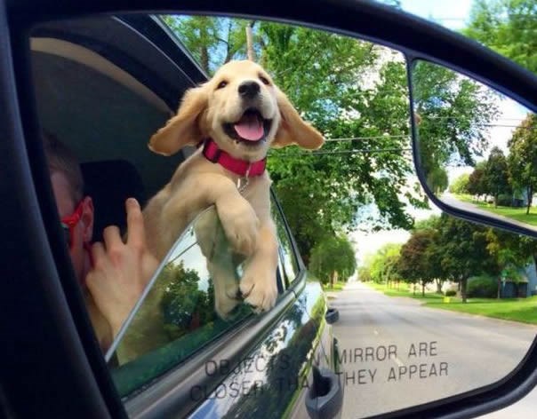 Čistu sreću prepoznaje i najveći mrgud