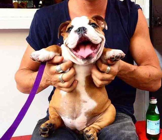 Probaj se ne naceriti od uha do uha