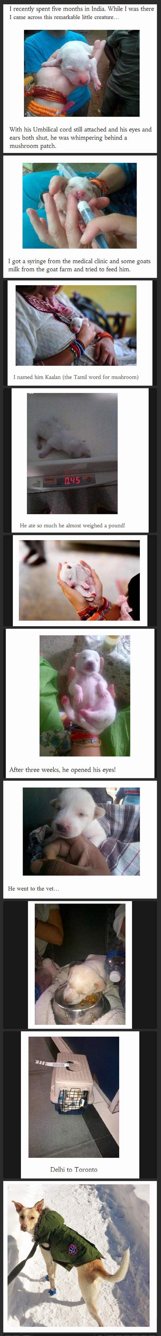 Galerija: Prijateljstvo stvoreno čistom ljubavlju