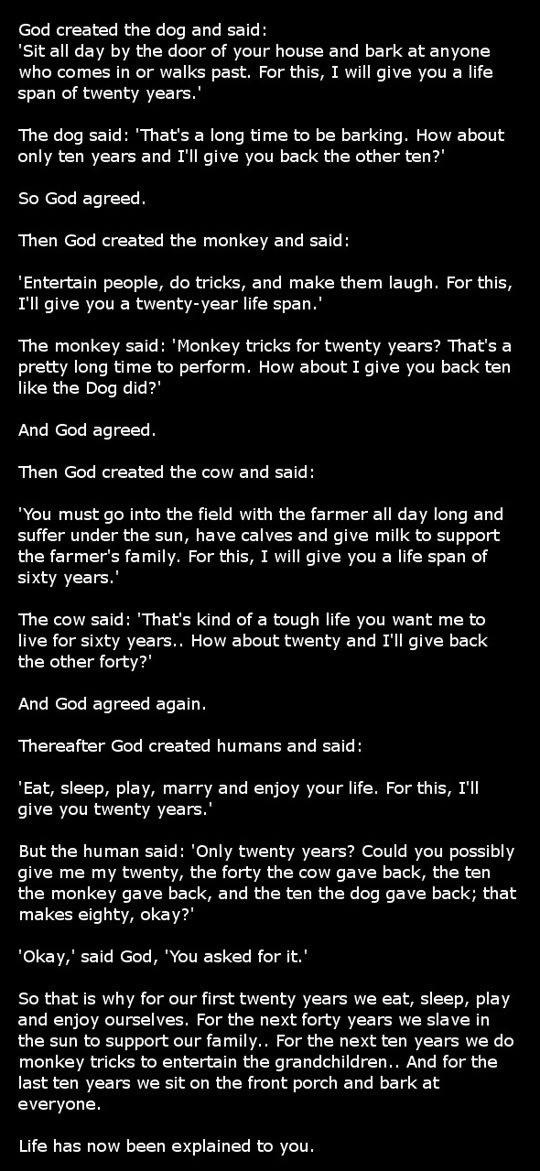 Objašnjenje ljudskog života: Konačno pronađen smisao