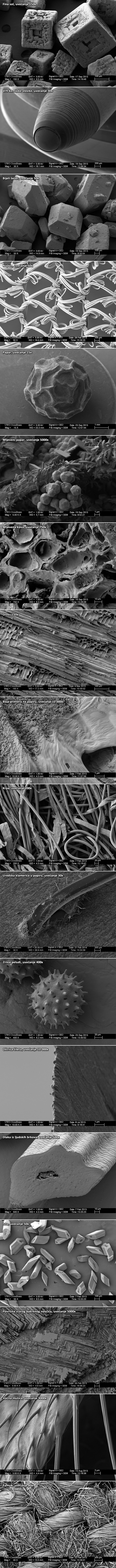 Nevjerojatni prizori nevidljivog svijeta pokazuju kako stvari izgledaju pod mikroskopom