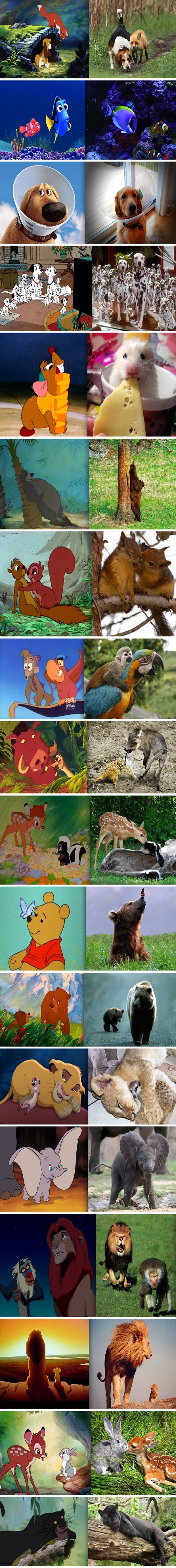 Crtići su apsolutno istiniti: Sve je kao u prirodi