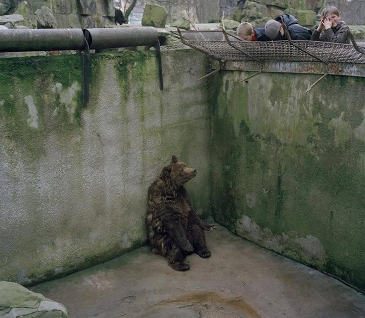 OVO NIJE ŽIVOT: Nijedno živo biće ovo ne zaslužuje