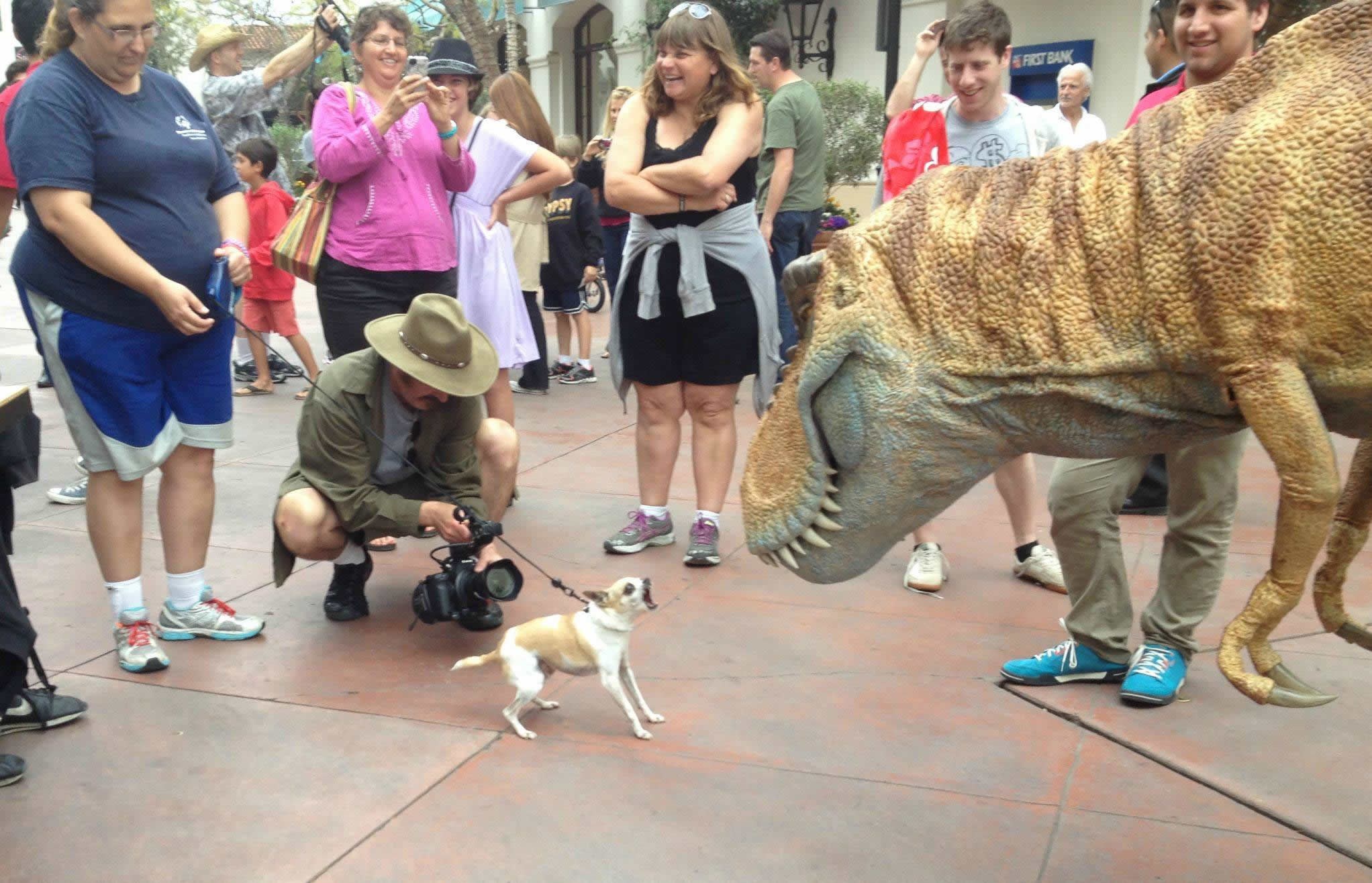 Hrabrost: Srčani psić navro na dinosaura
