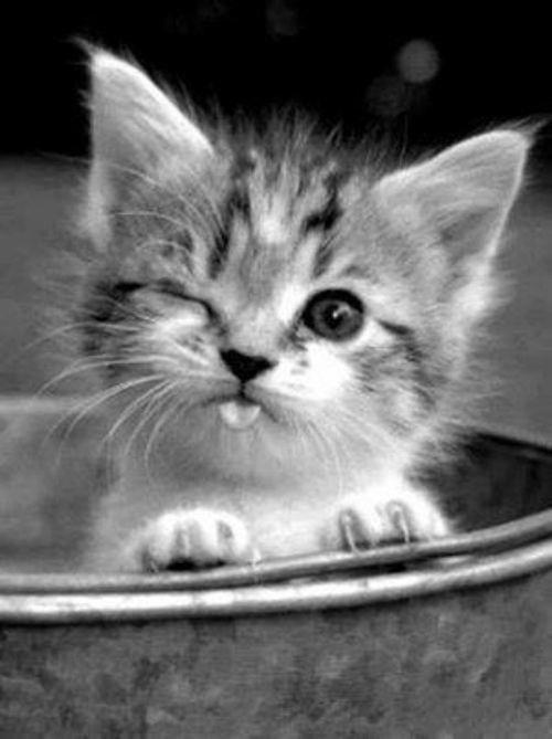 Maznulo ti sat vremena, hihi!