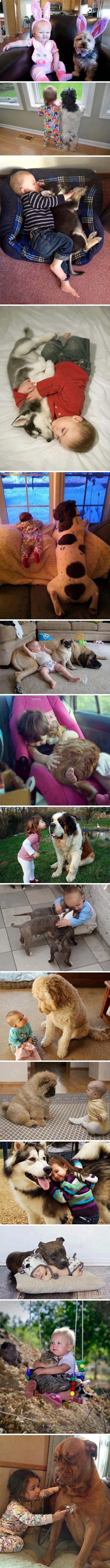 TOP 15 slika mališana koji umjesto plišanih medvjeda imaju žive igračke