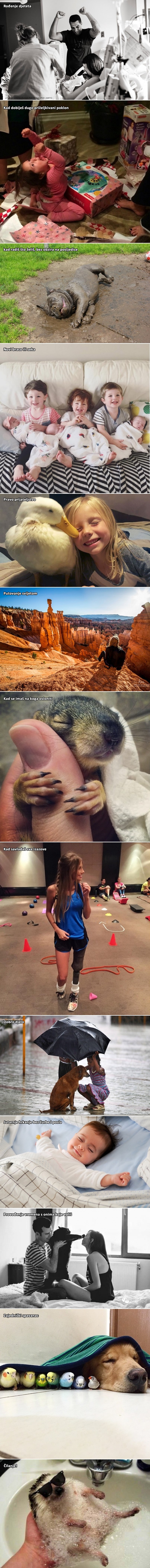 Galerija apsolutne čiste sreće koja će vam uljepšati tjedan