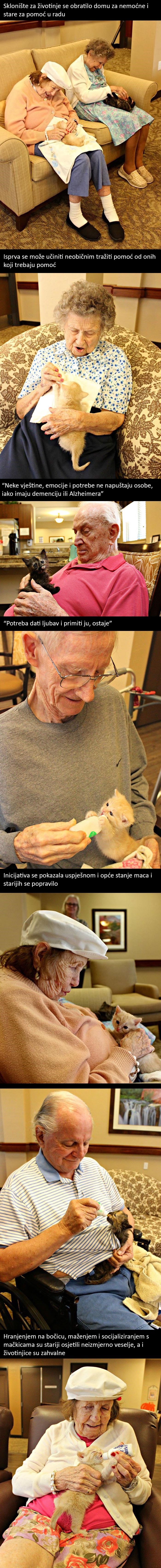 Prekrasna priča puna ljubavi: Suradnja skloništa za životinje i doma za starije
