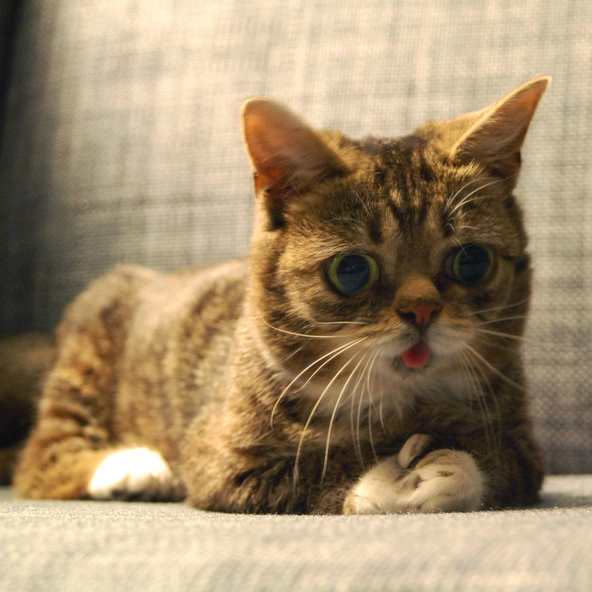 To! Sad će... sad će roknut bunika! Čujem boje!