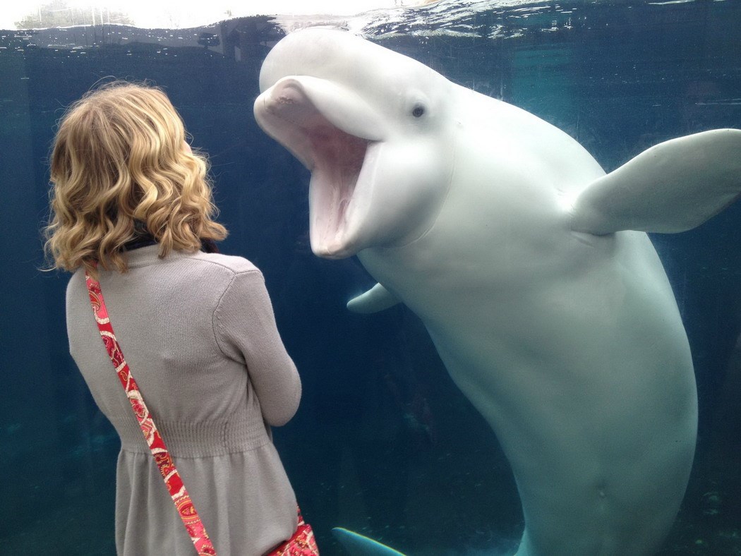 Daj smoki! Znam da imaš smoki, slonu si bacila!