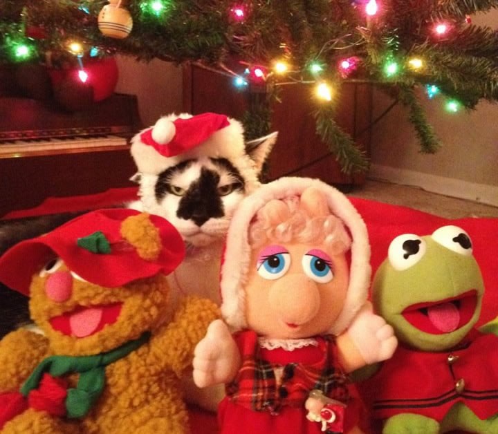 Mamicu ti, šta sve radim za bonus hranu..