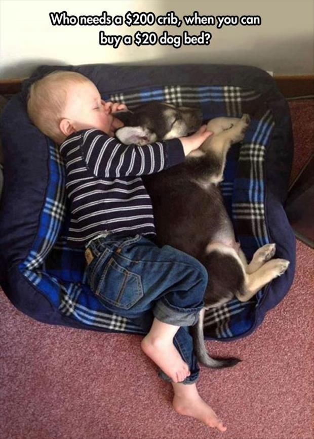 Uz najboljeg prijatelja se najslađe spava