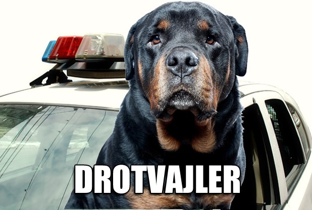 Kako se zove policijski pas?