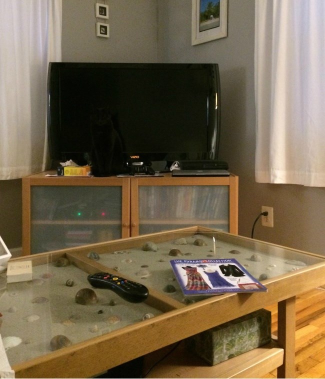 Pokušavao je pronaći mačku deset minuta