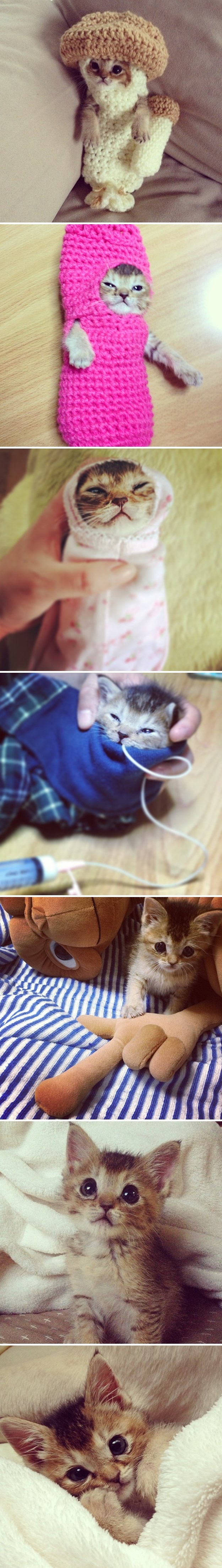 Bolesnom miceku pomogli slatkom robicom