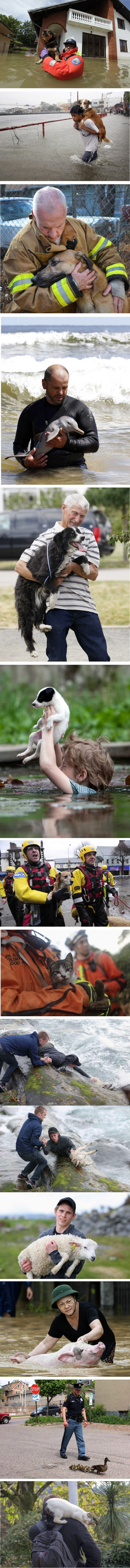 12  dirljivih fotografija koje su dokaz da sretan kraj doista postoji