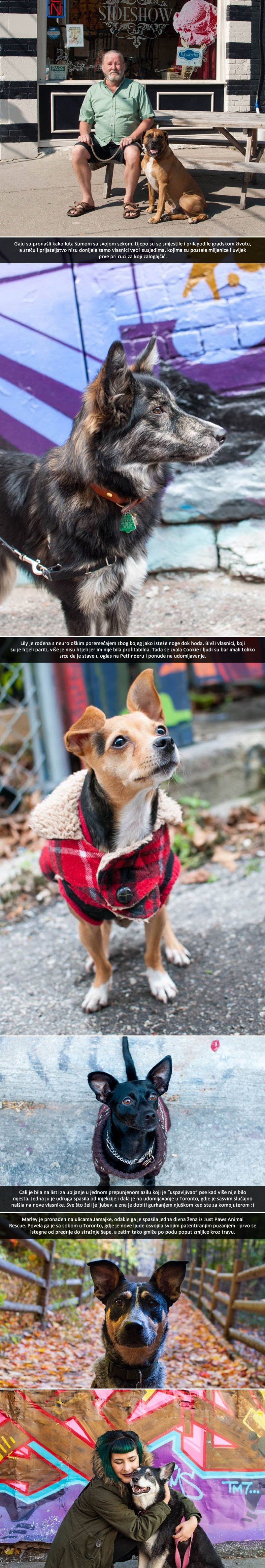 Kad pas izvuče jackpot i osvoji svog čovjeka!