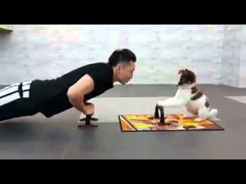 u zdravom tijelu, zdrav duh..:))) Video