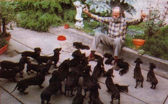 Najsretniji dirigent na svijetu - pseći zbor spreman