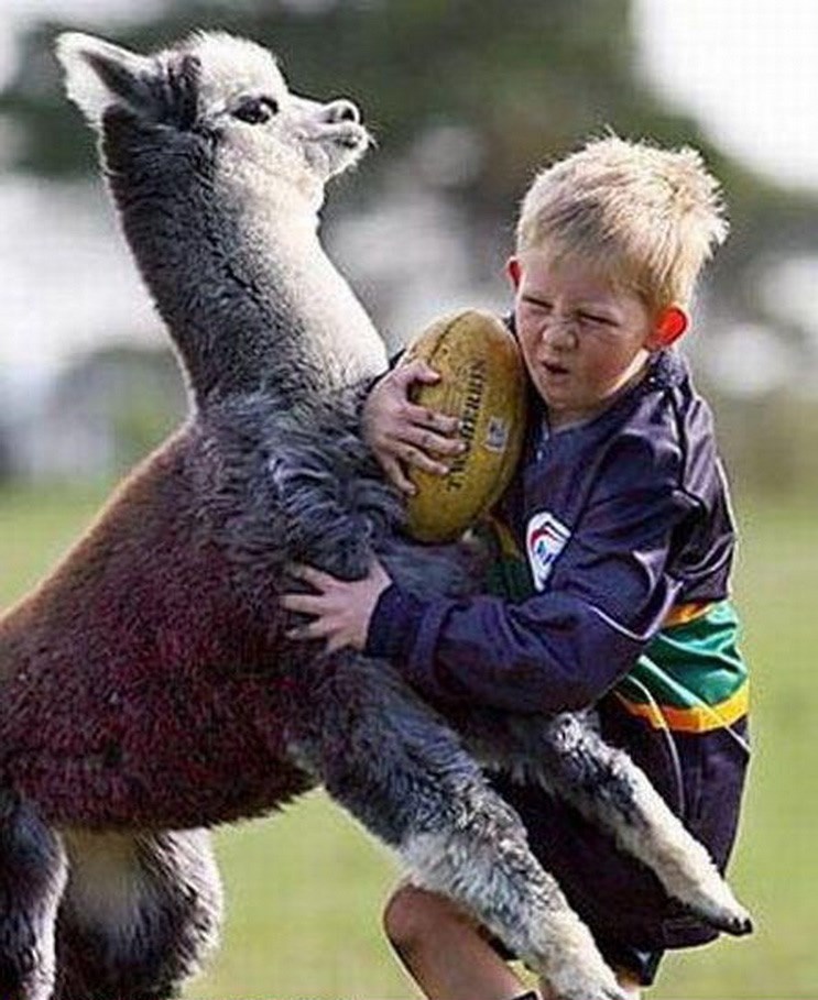 Klinac, magla, moja lopta, moja!