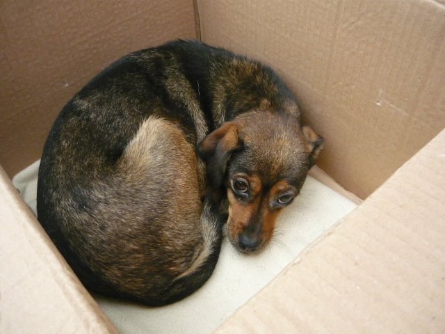 Tukli su me, a ne znam zašto..