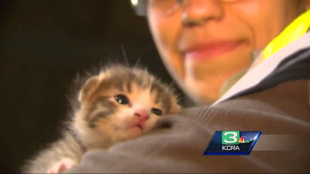 Sekundu prije nego je smeće uništeno u komade, začuo je slabaš poziv upomoć i spasio maleni život
