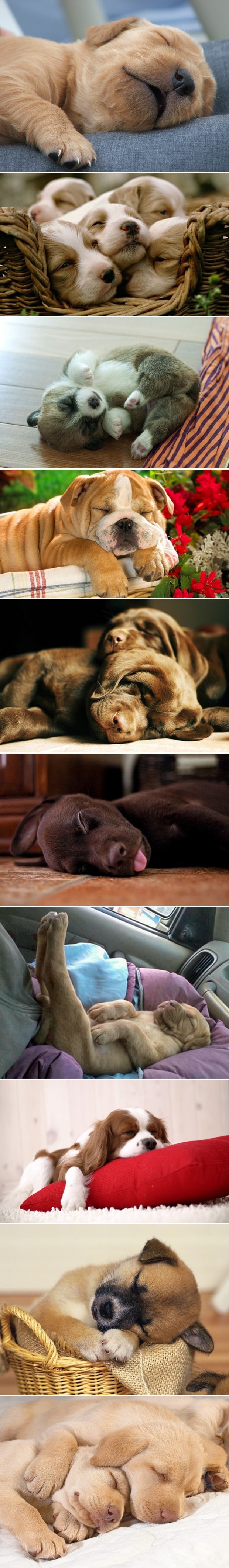 Oni ovo mogu i ponedjeljkom ujutro