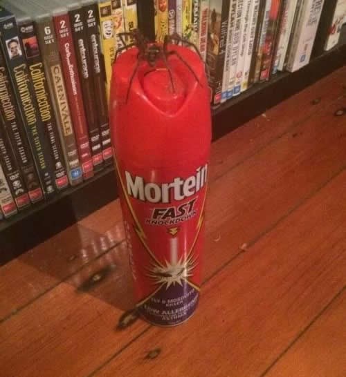 Usudi se sad, ljudski neprijatelju!