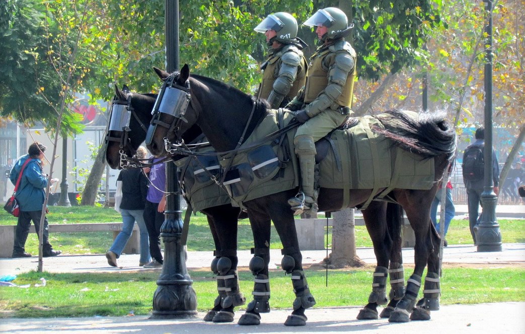Moderni "vitez": Konjanik Murjačkog stola